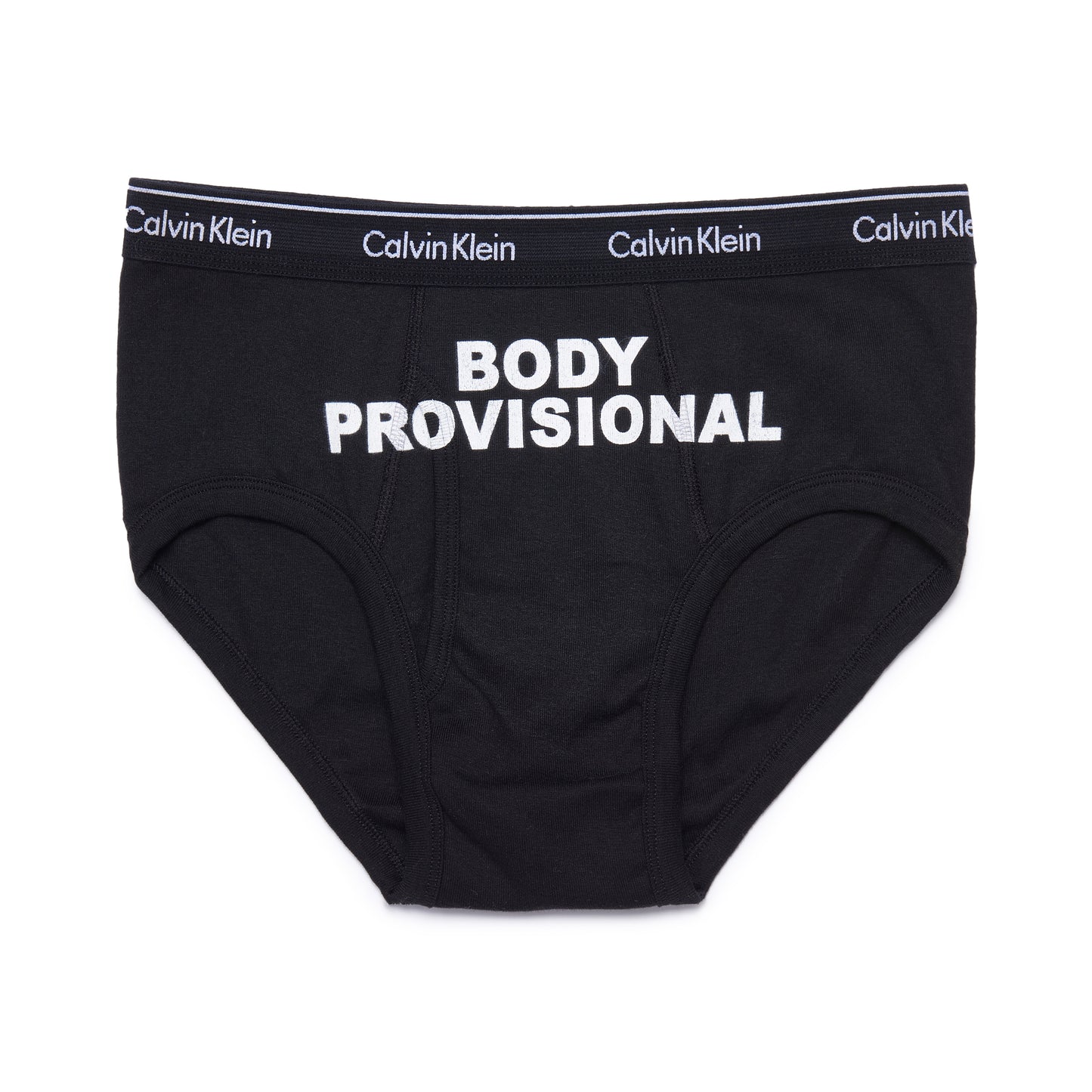 BODY PROVISIONAL BRIEF — BLACK